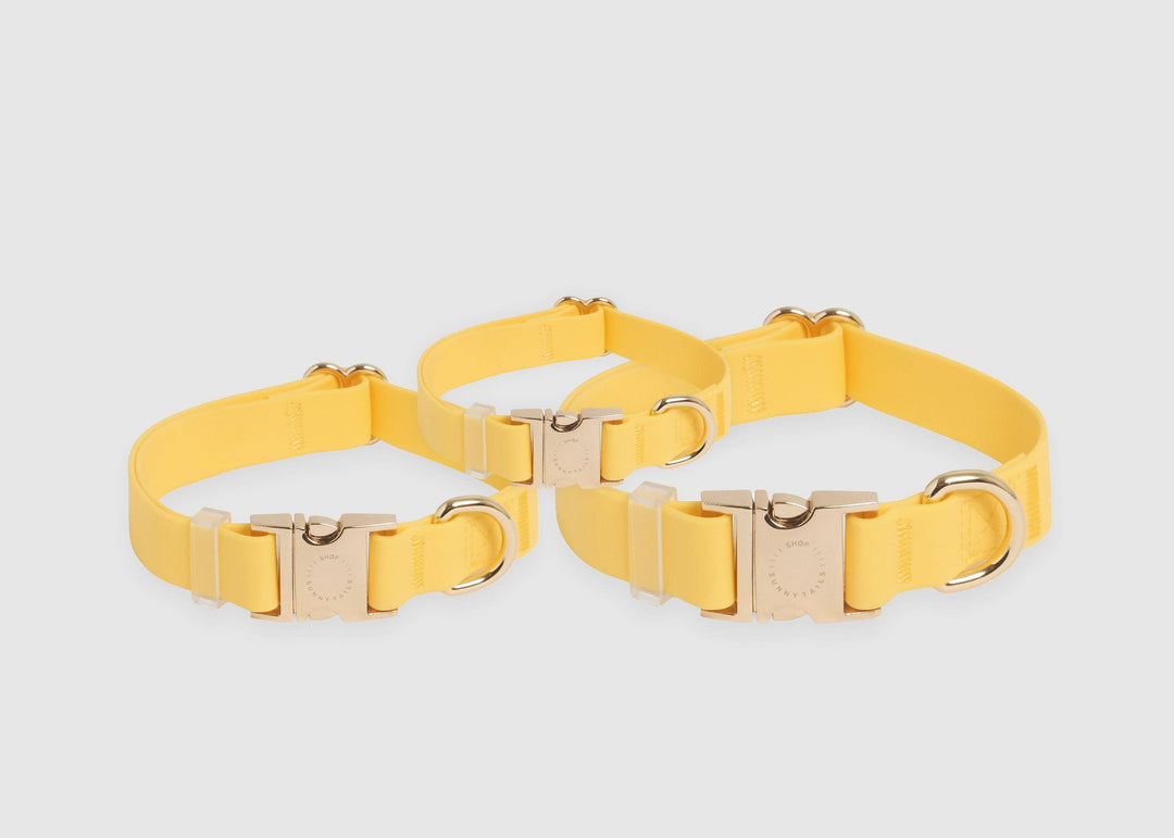 Shop Sunny Tails - Dandelion Yellow Waterproof Dog Collar