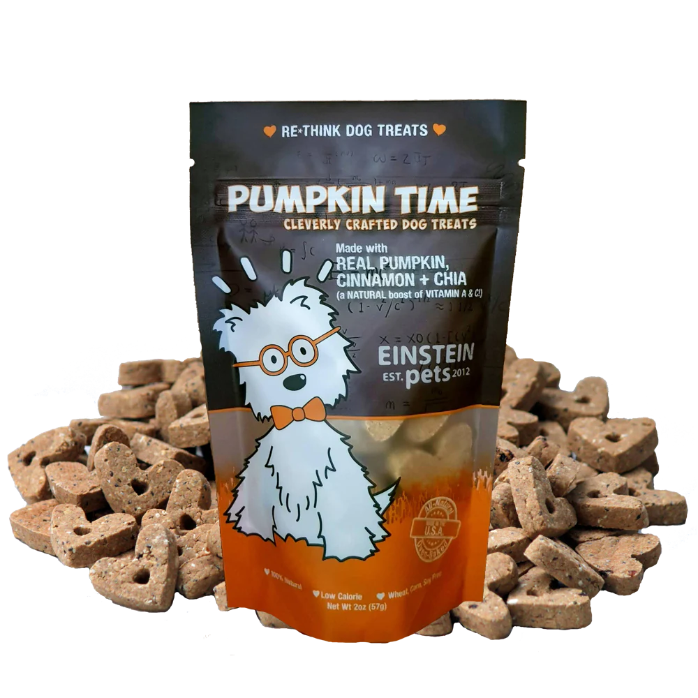 Pumpkin Time Treats - Einstein Dog Treats