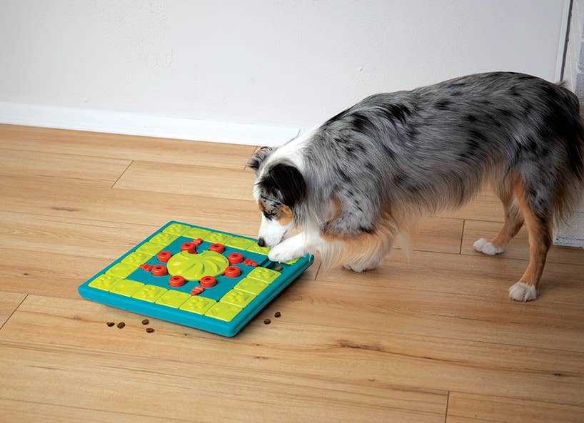 Nina Ottosson - MultiPuzzle Interactive Treat Dog Puzzle Toy