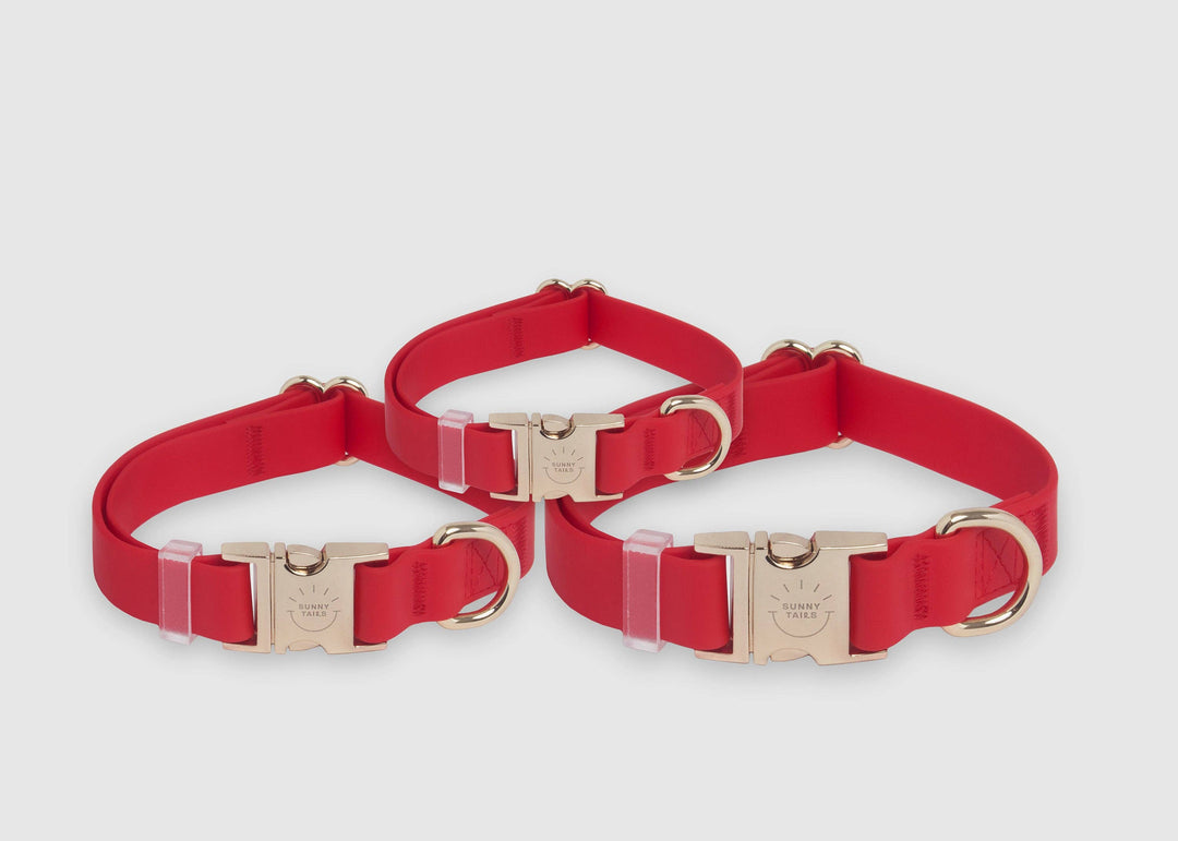 Shop Sunny Tails - Cherry Red Waterproof Dog Collar