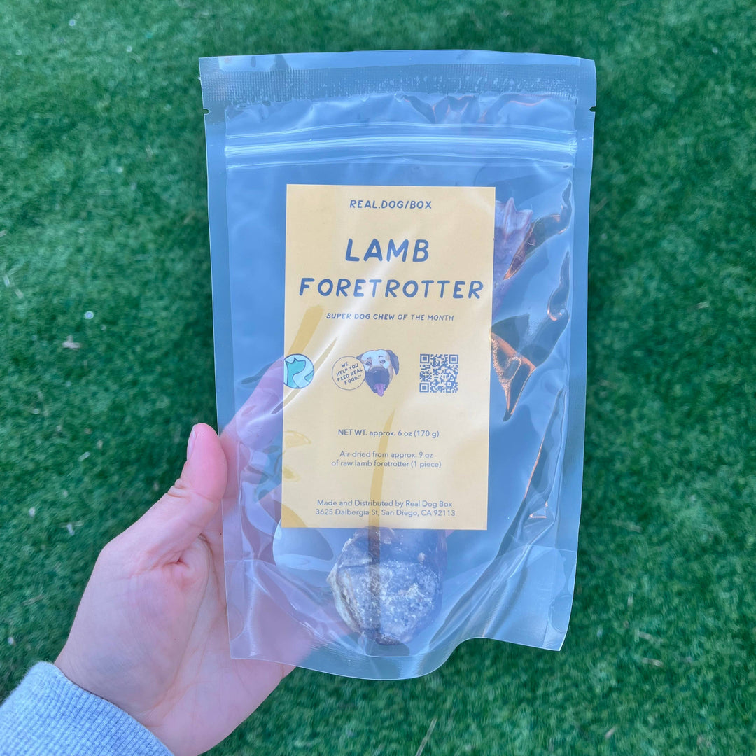 Real Dog Box - Air-dried Lamb Foretrotter