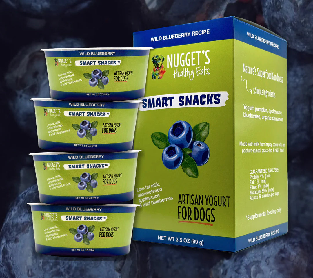 Nugget's Healthy Eats - Dog Artisan Yogurt with Blueberries (One 3.5 oz cup)