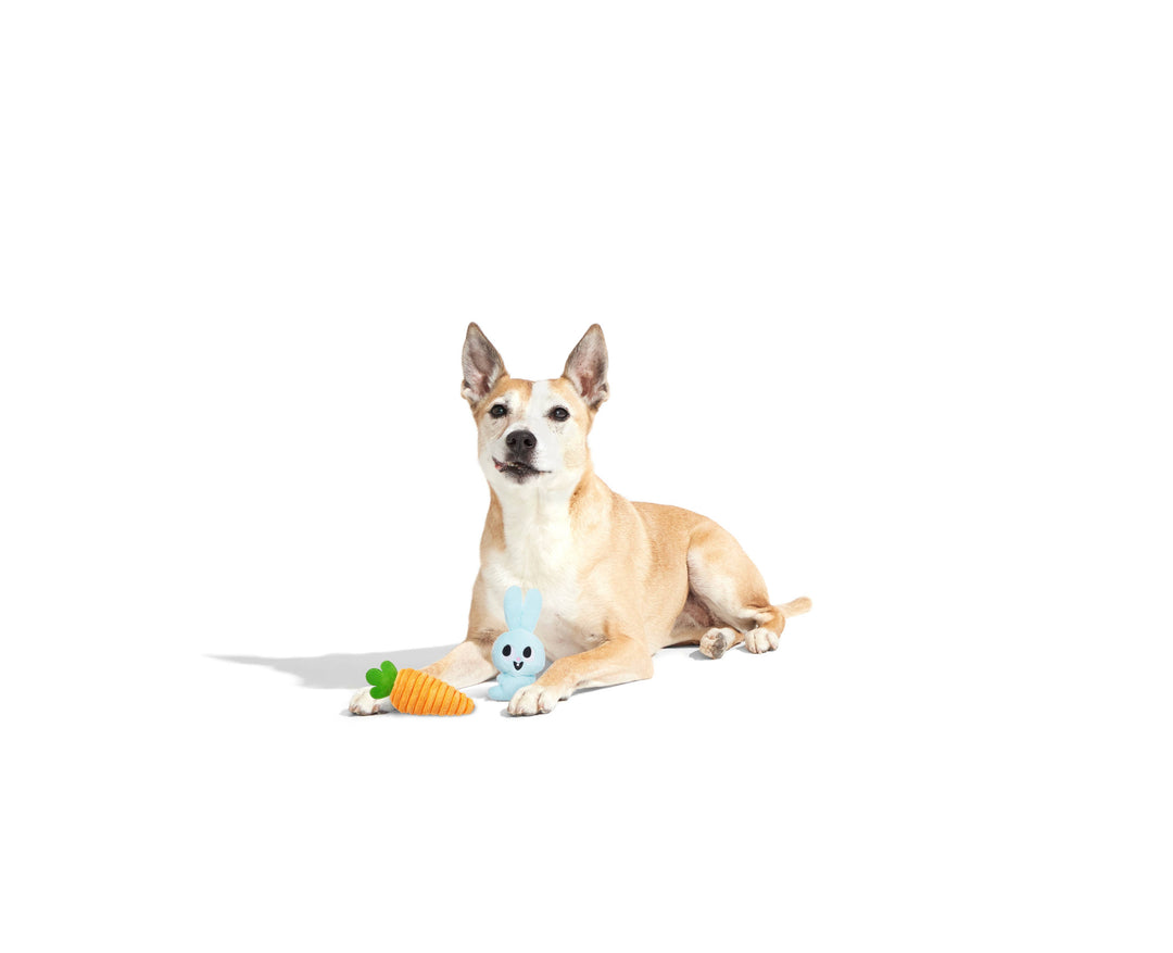 BARK - Harriet & Carrot Plush Dog Toy