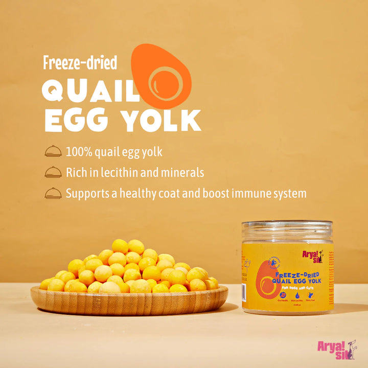 Arya Sit - Freeze-Dried Egg Yolk