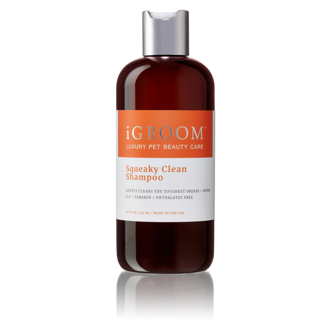 iGroom - Squeaky Clean Shampoo 16oz