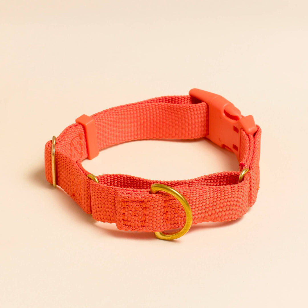 Awoo - Marty Collar - Spice