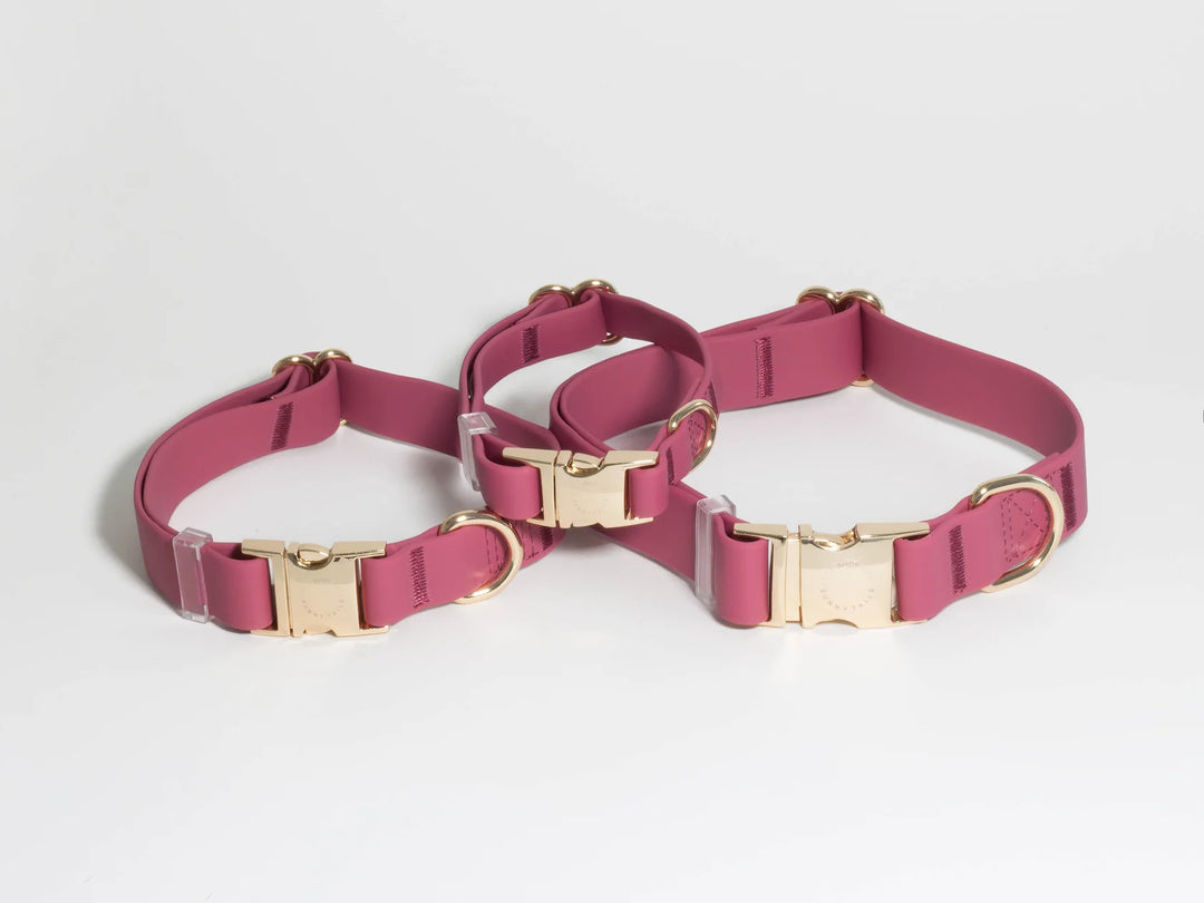 Shop Sunny Tails - Mulberry Burgundy Waterproof Dog Collar