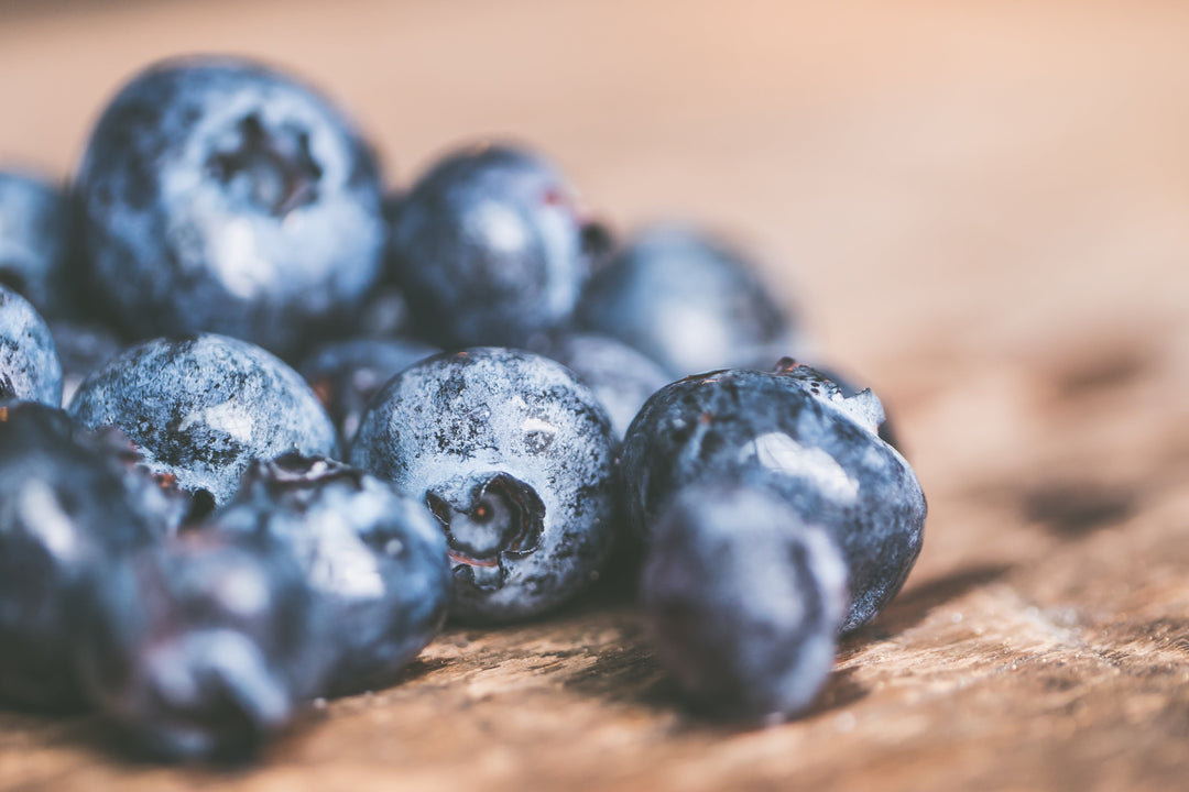Can Dogs Eat Blueberries? - Belle Mead NJ Groomer