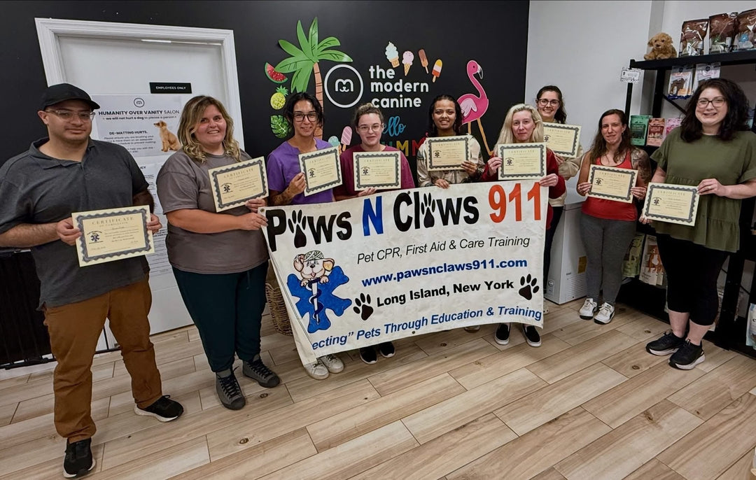 Our Entire Team is Now Certified in Pet CPR and First Aid