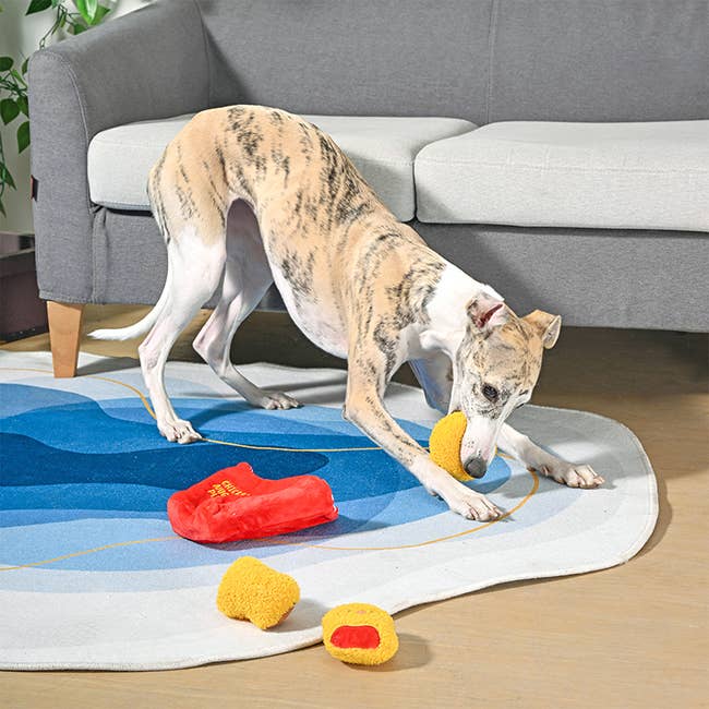 Dog Toy: Chicken Nuggets Interactive Toy