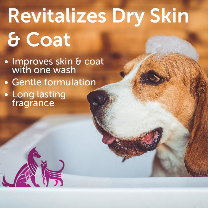 Nootie - Rejuvenating Dog Shampoo: Cherry Blossom
