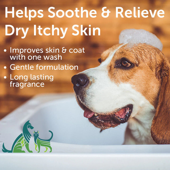 Nootie - Soothing Dog Shampoo: Cucumber Melon