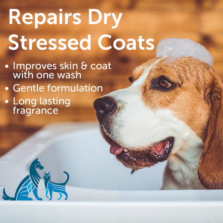 Nootie - Nourishing Dog Shampoo: Sweet Pea Vanilla