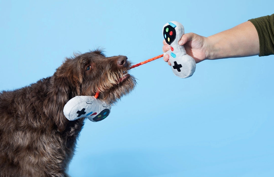 BARK Ate-Bit Controllers Dog Toy