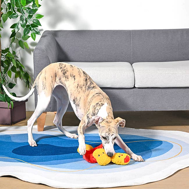 Dog Toy: Chicken Nuggets Interactive Toy