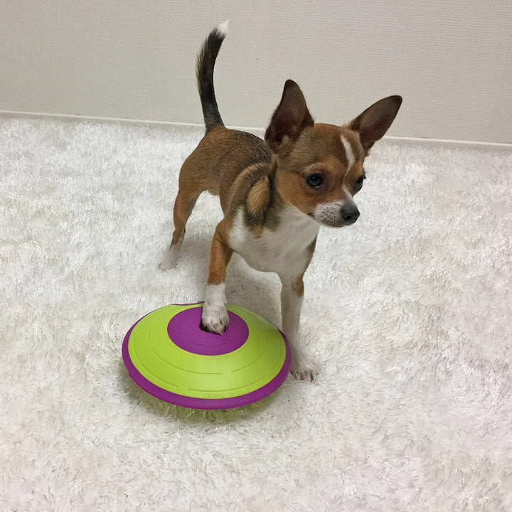 Treat Maze Interactive Dog Puzzle Toy