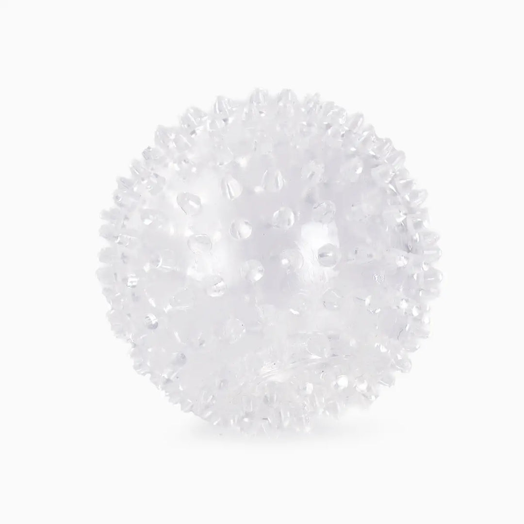 Dog Toy: Frankenstein Ball