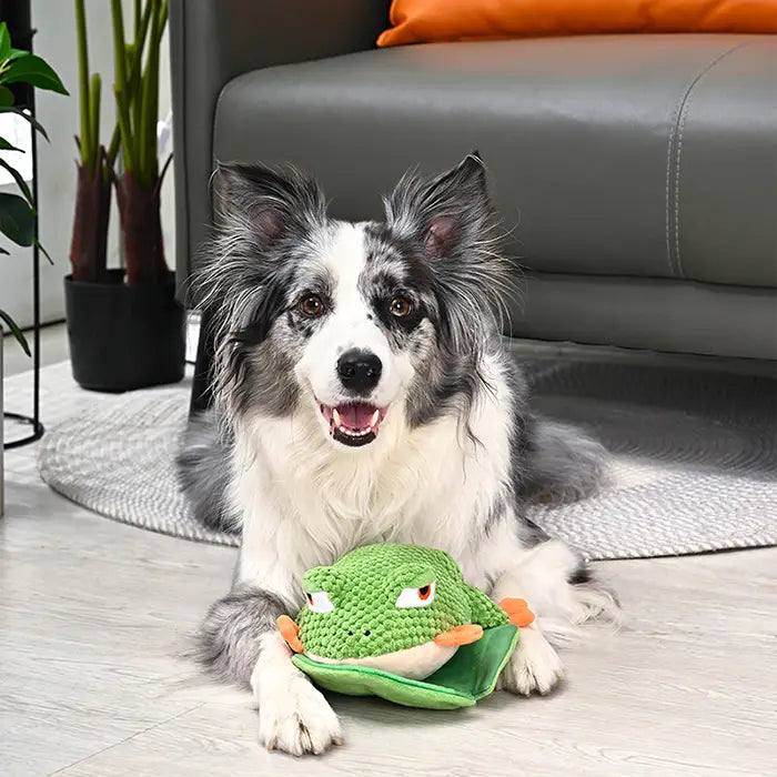 Dog Toy: Tree Frog Plush