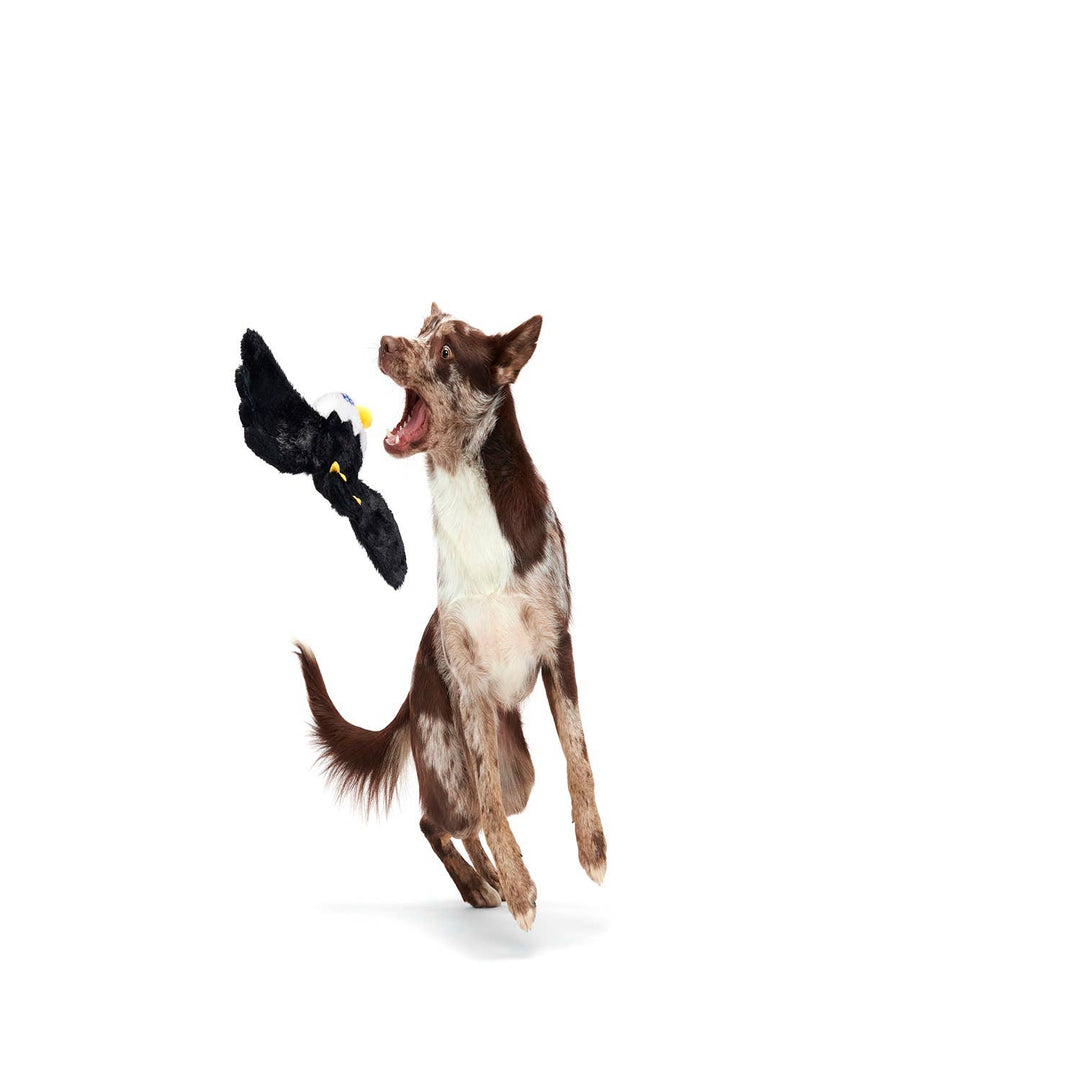 BARK - Bold Eagle Dog Toy