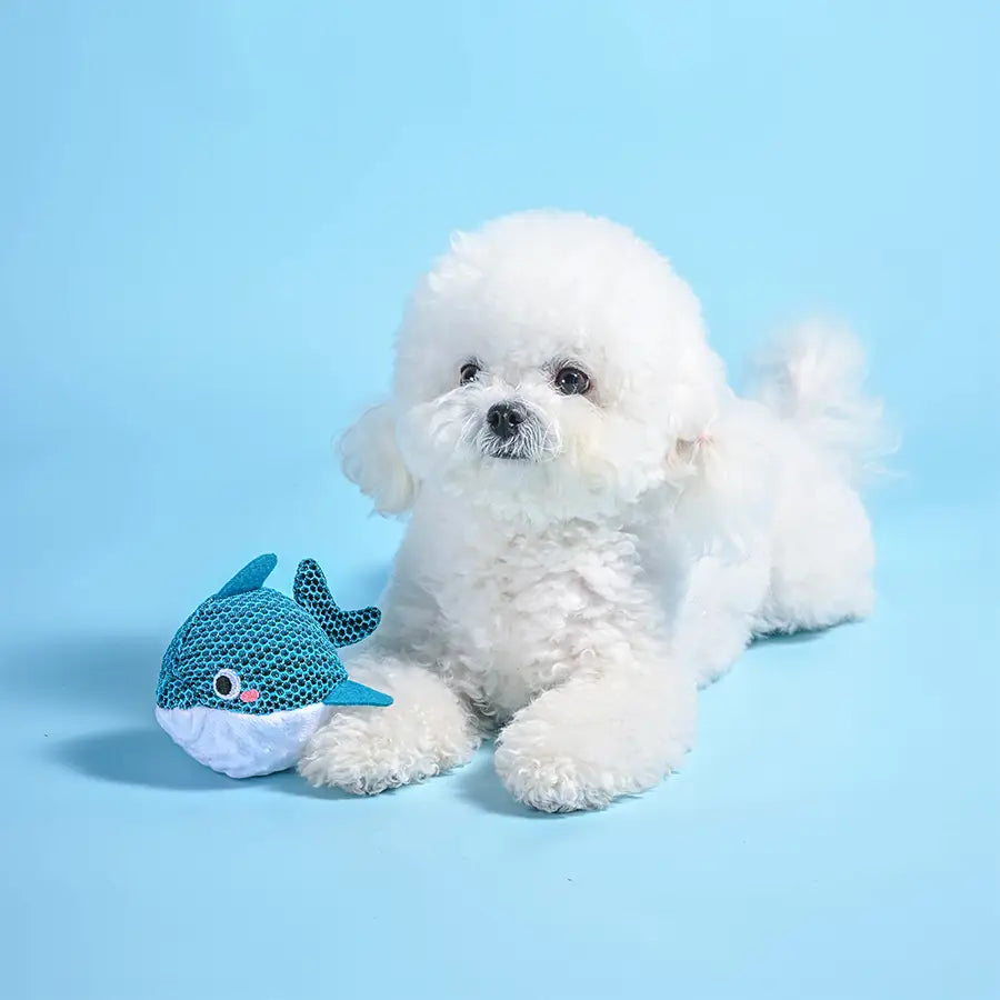 Dog Toy: Dolphin Ball
