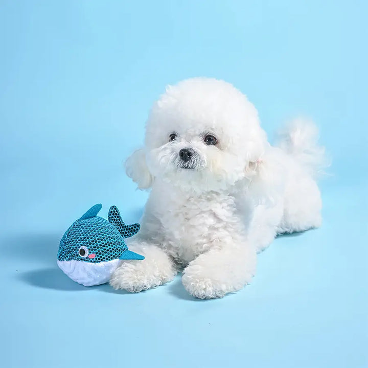 Dog Toy: Dolphin Ball