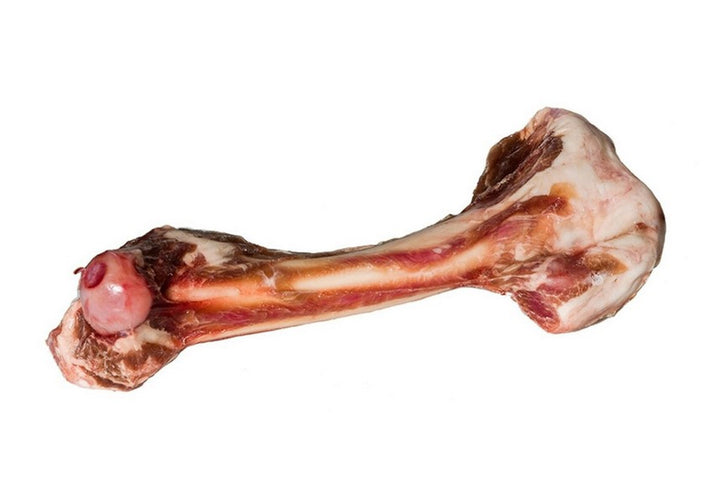 Tucker's - Raw Frozen Lamb Femur Bone