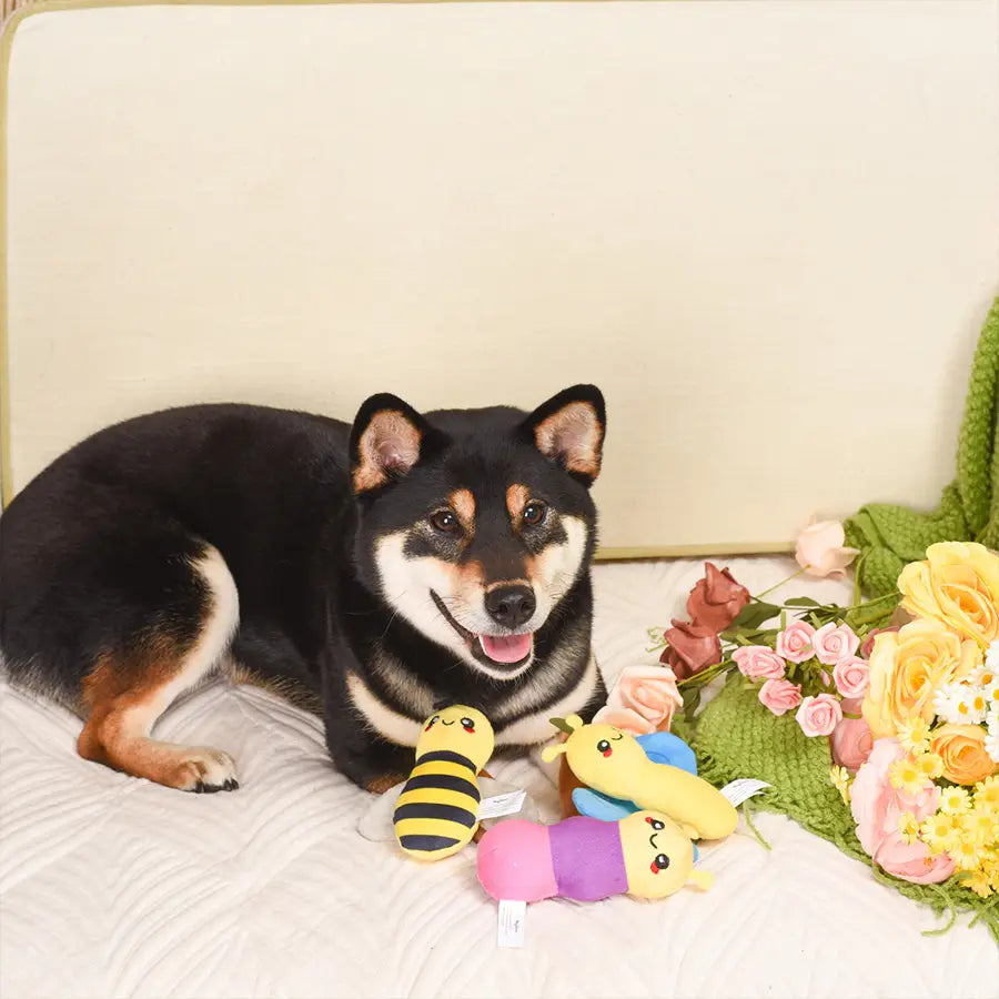 Dog Toy: Little Insects Plush
