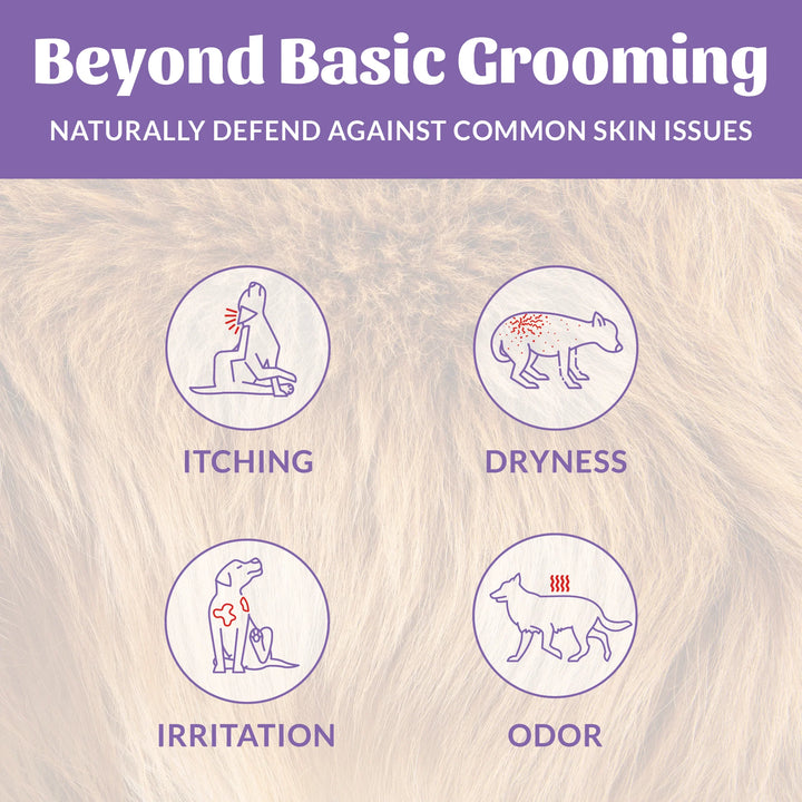 Skout's Honor - Probiotic Shampoo & Conditioner - Lavender 16oz
