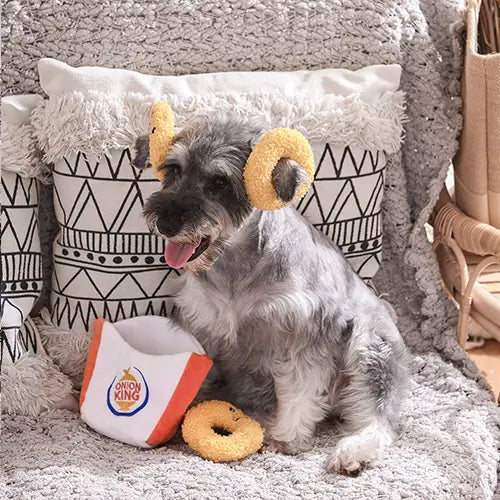 Dog Toy: Onion Rings Interactive Toy