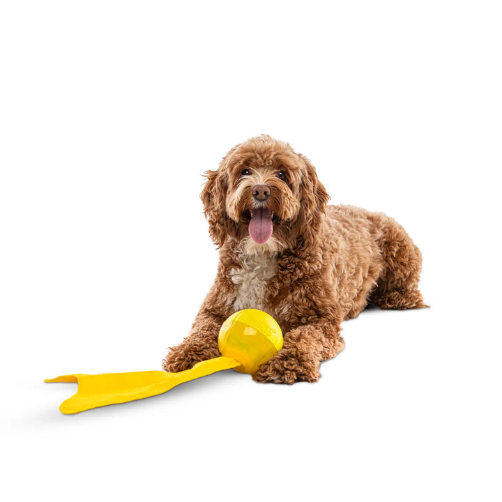 Dog Toy: Guru Pet Bonanza Ball