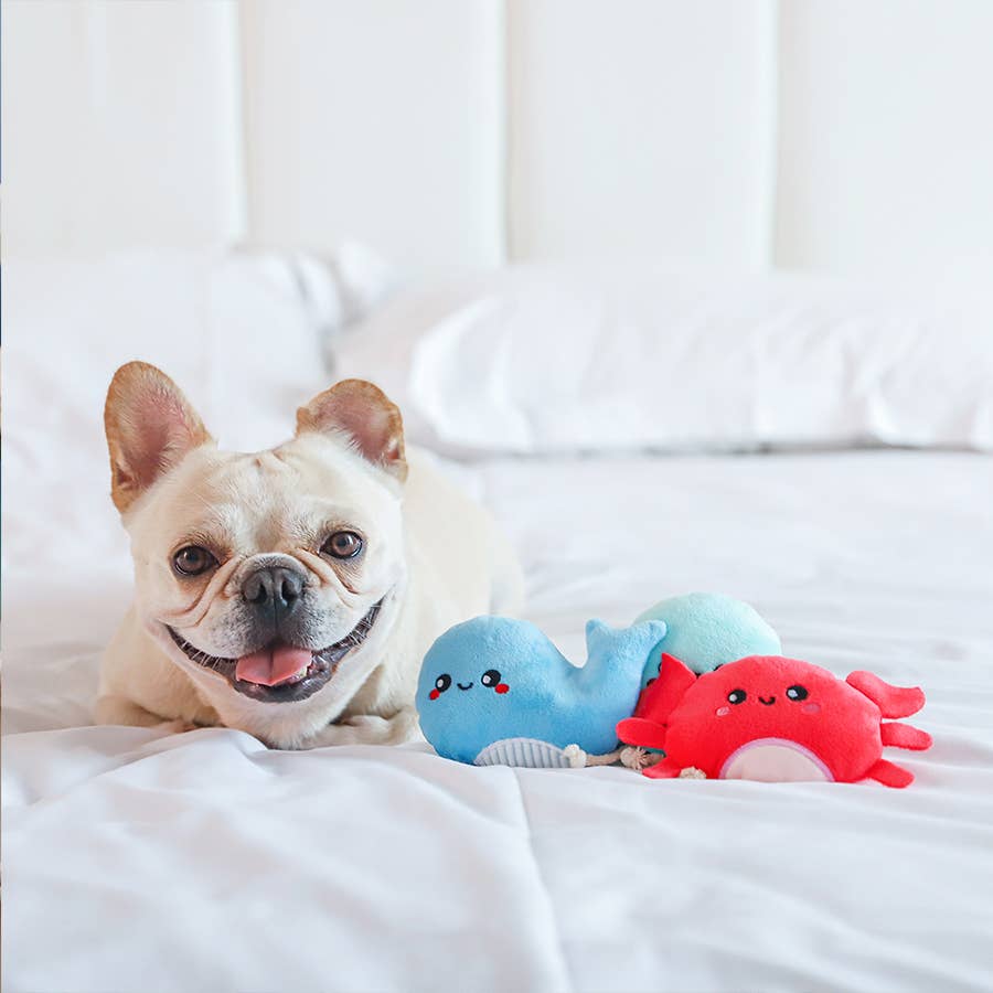 Dog Toy: Sea Creatures Plush