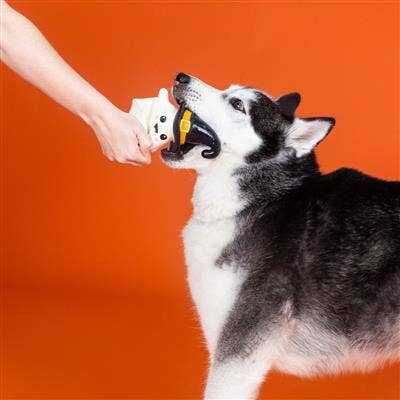 Dog Toy: One Wicked Ghost Latex Toy