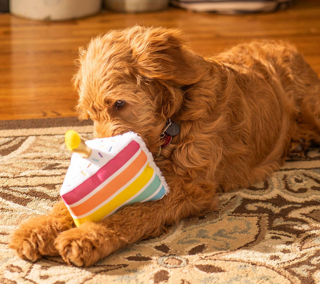 Birthday 5-Layer Cake Plush Dog Toy