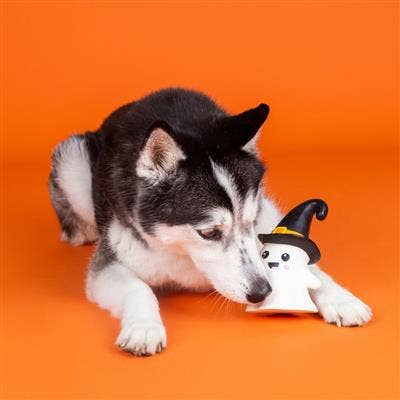 Dog Toy: One Wicked Ghost Latex Toy