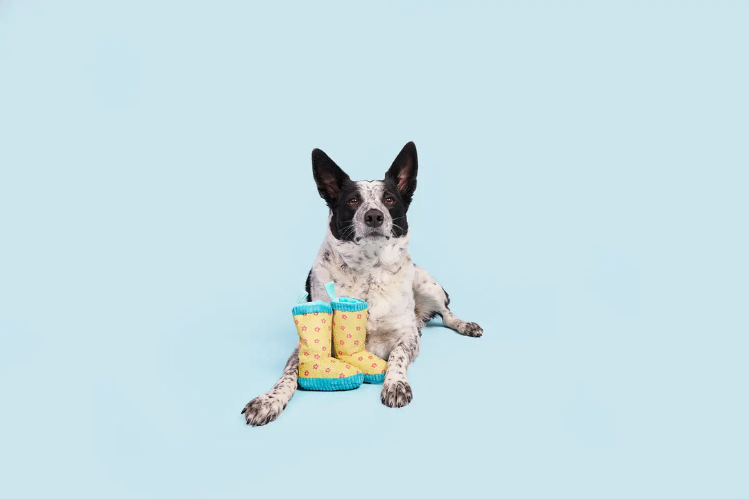 Dog Toy: BARK - Smelly Wellies