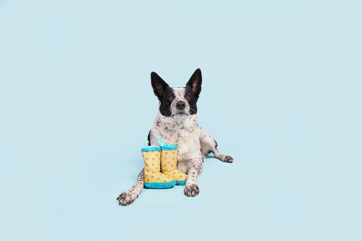 Dog Toy: BARK - Smelly Wellies