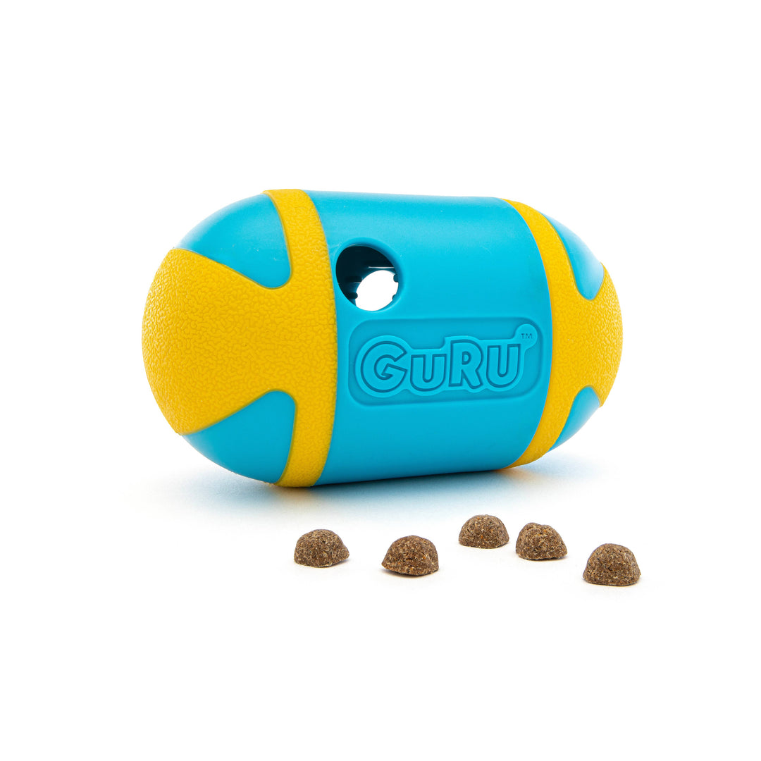 GURU Pet - Rock 'N Treat Interactive Dog Toy