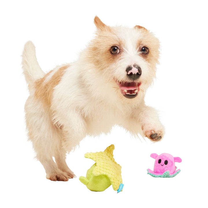 BARK - Lil' Squirts Dog Toy