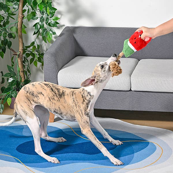 Dog Toy: Watermelon Popsicle Plush