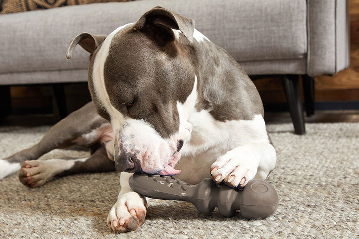 Dog Toy: BARK Buck Wild Super Chewer