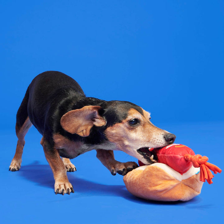 BARK - The Everything Dog Fourth Of July BBQ Dog Toy