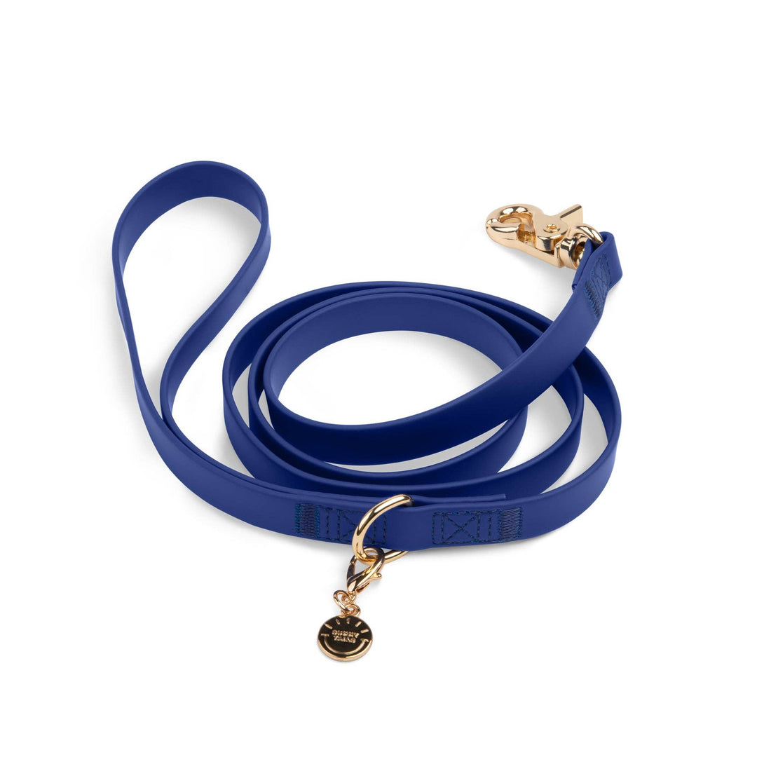 Blue dog leash with gold clasp and tag on a white background
