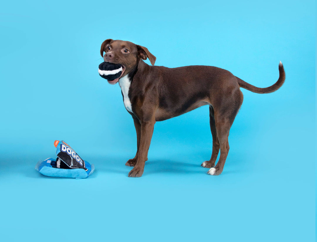 Dog Toy: BARK Dogo Dunkers 3pc