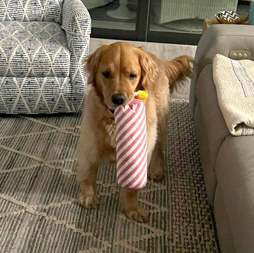 Birthday Candle Dog Toy - Pink