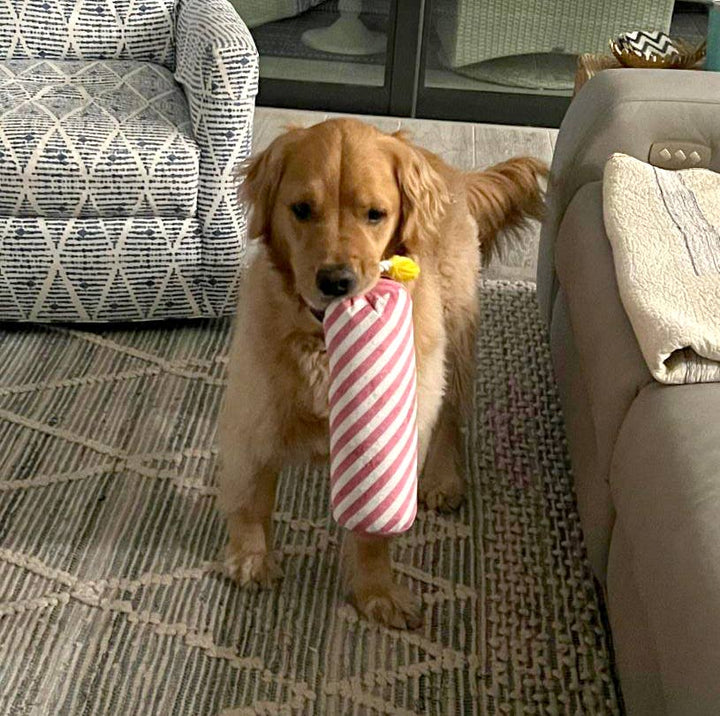 Birthday Candle Dog Toy - Pink