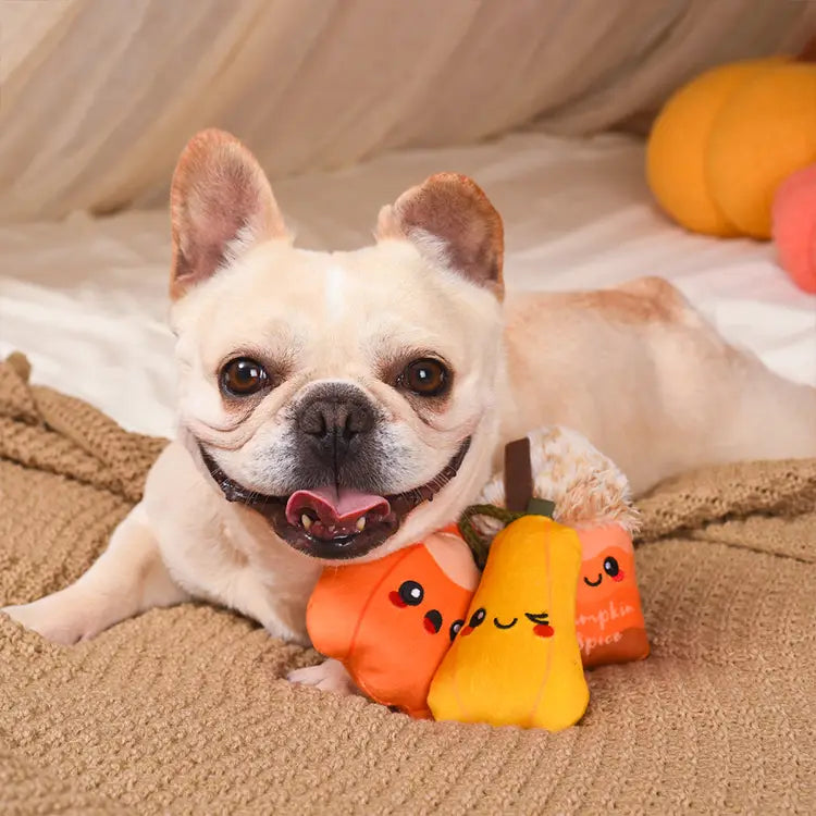 Dog Toy: Pumpkin Play Mini Plush Toys