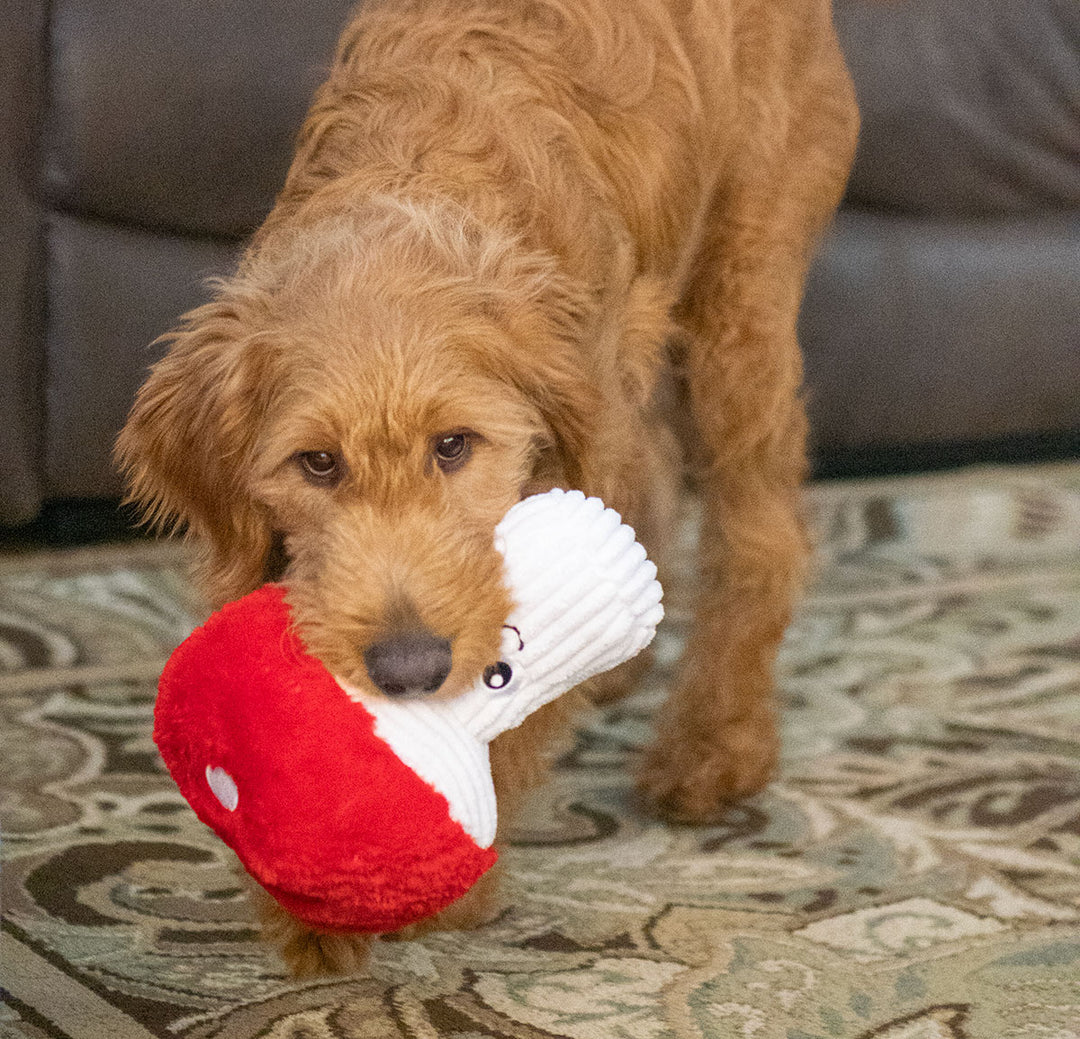 Dog Toy: Mushroom Plush 9"