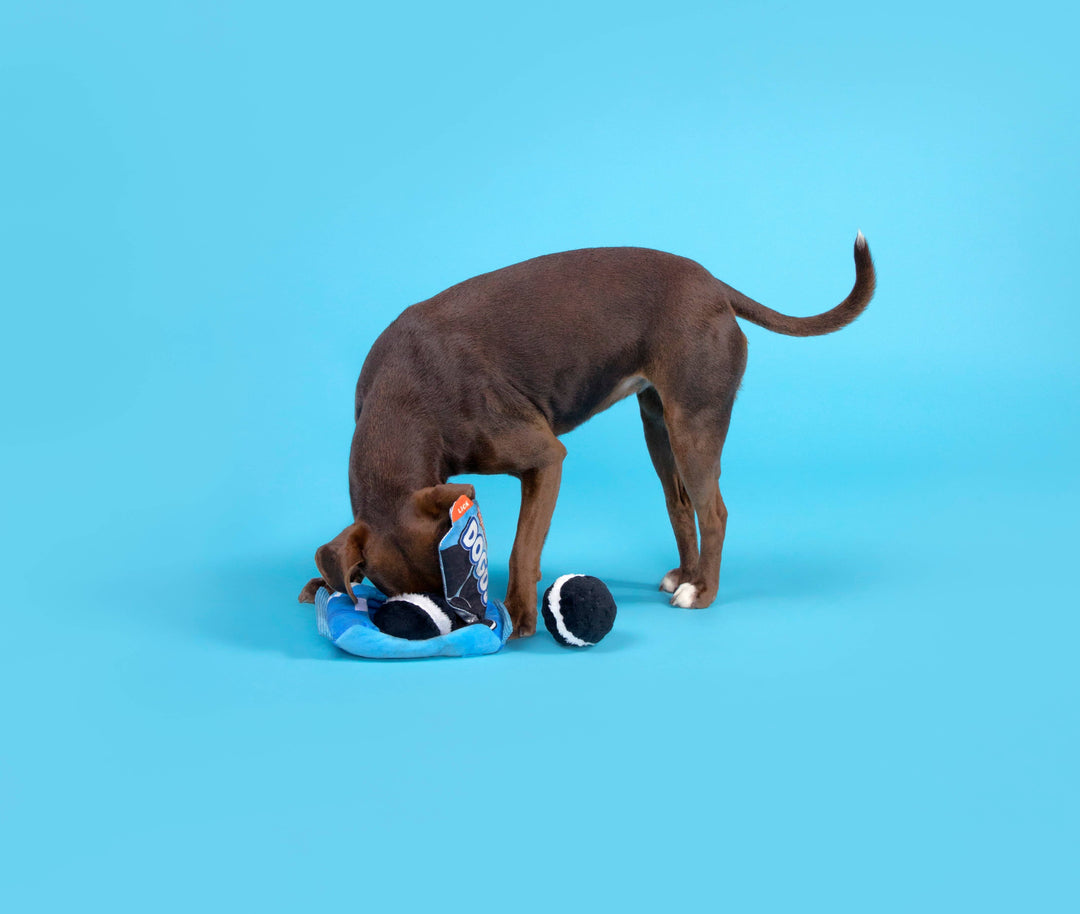 Dog Toy: BARK Dogo Dunkers 3pc