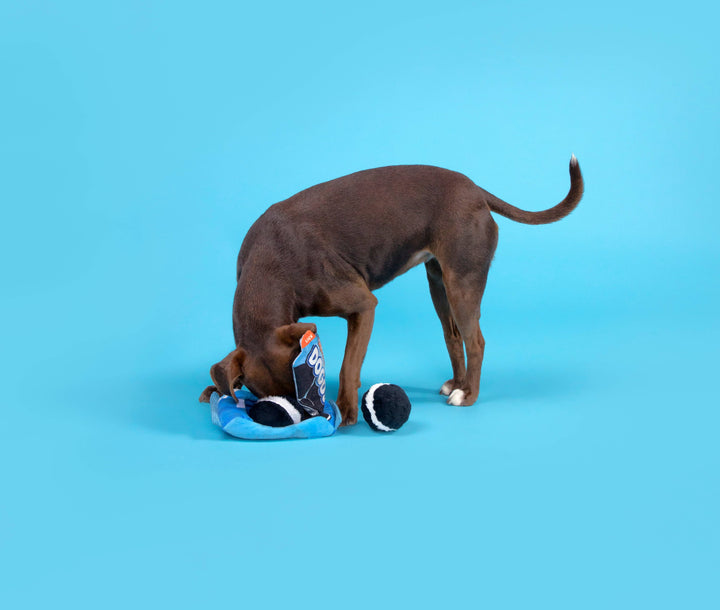 Dog Toy: BARK Dogo Dunkers 3pc