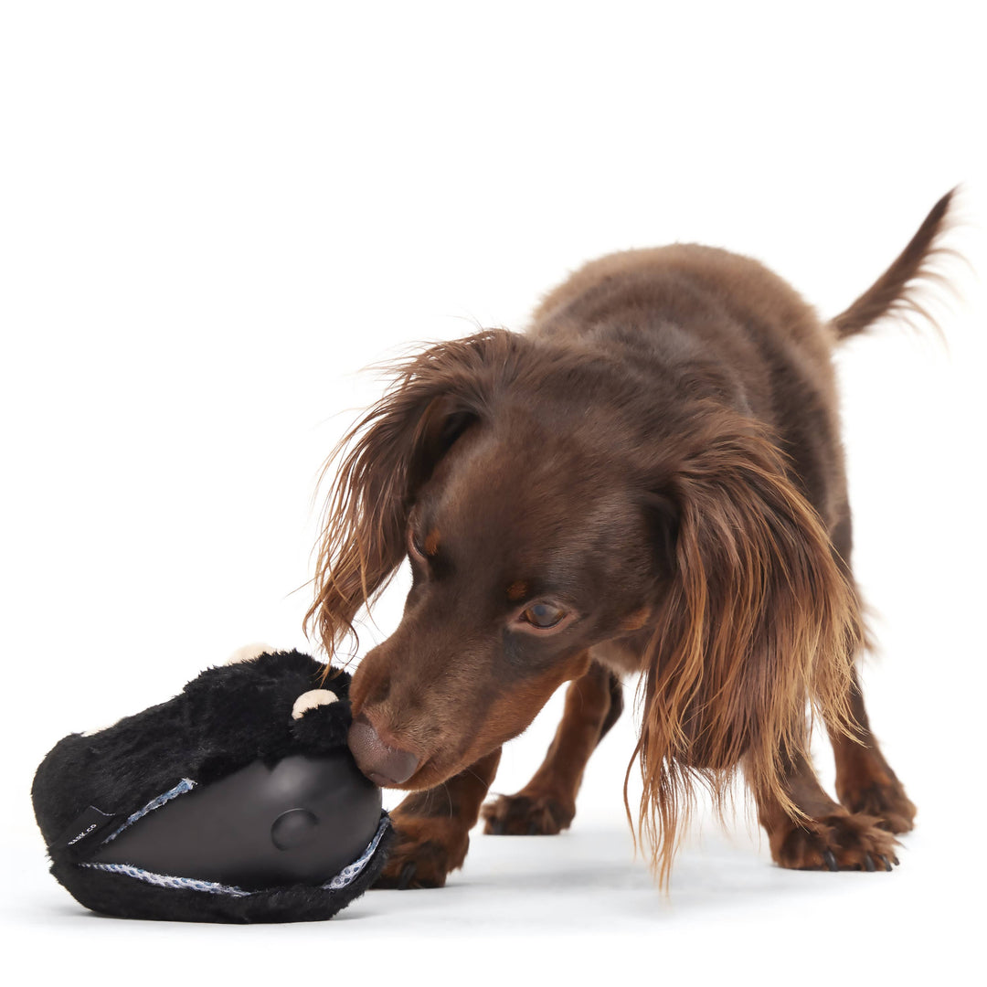 BARK - Super Chewer Black Bear Dog Toy